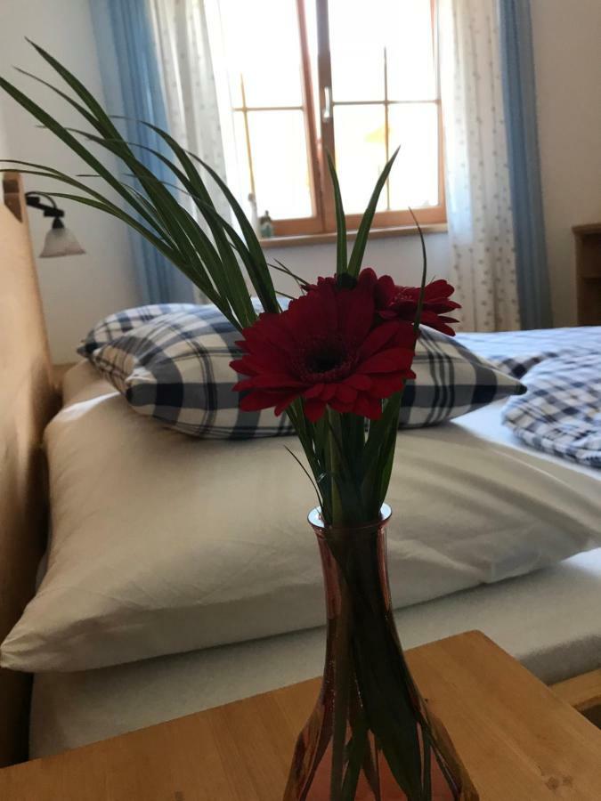 Ferienwohnung Gruber-Hansen カルテンバッハ エクステリア 写真